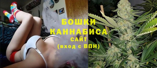 стаф Балахна